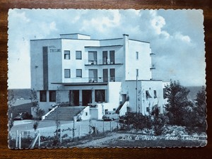 Tritone Annunci Dacquisto Vendita E Scambio Grandi - 