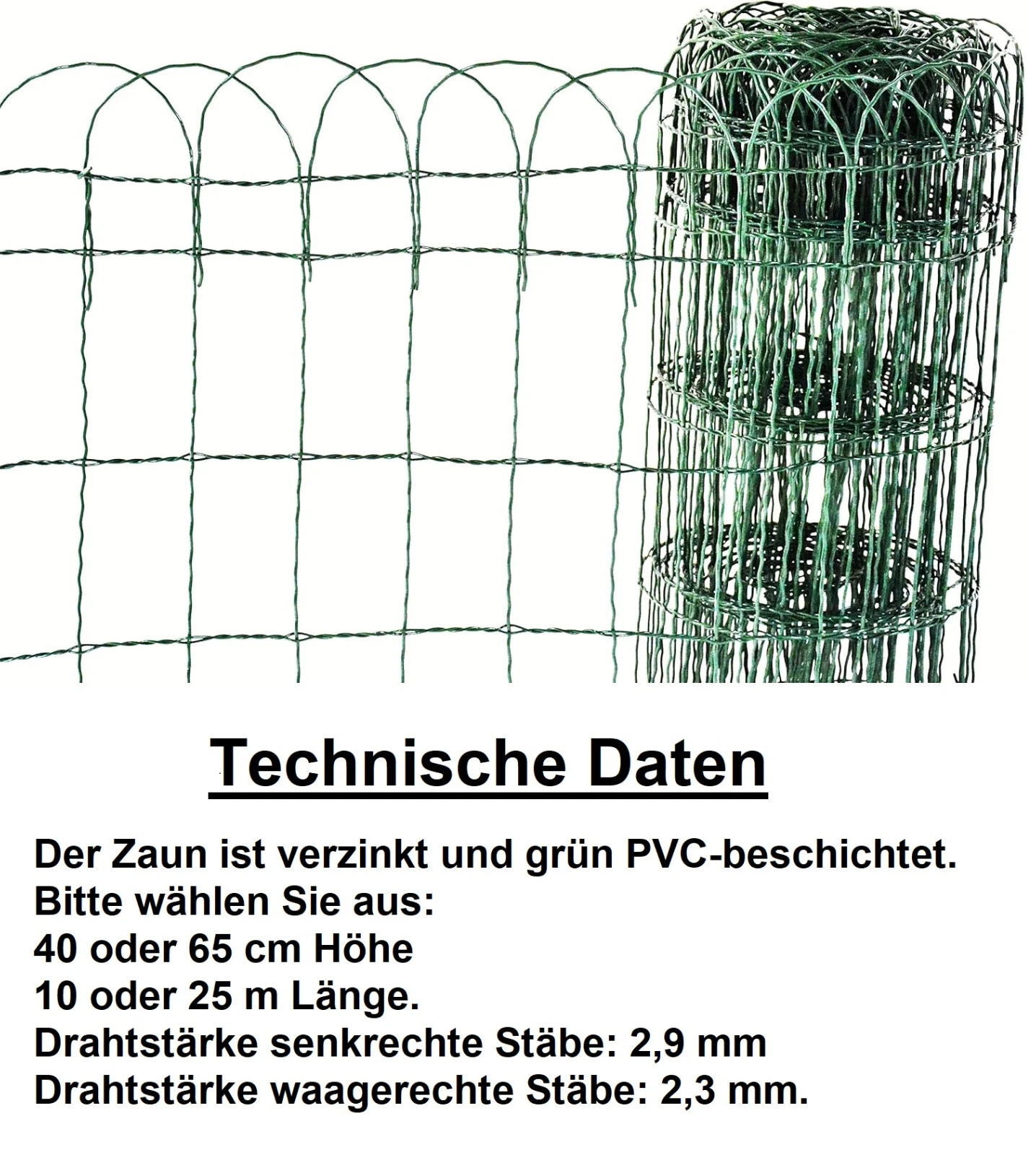 Bild 4 von 6