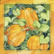 Ceramic Backsplash Tile Mural Fruit Vegetable Food Kitchen/Bathroom - Pumpkins