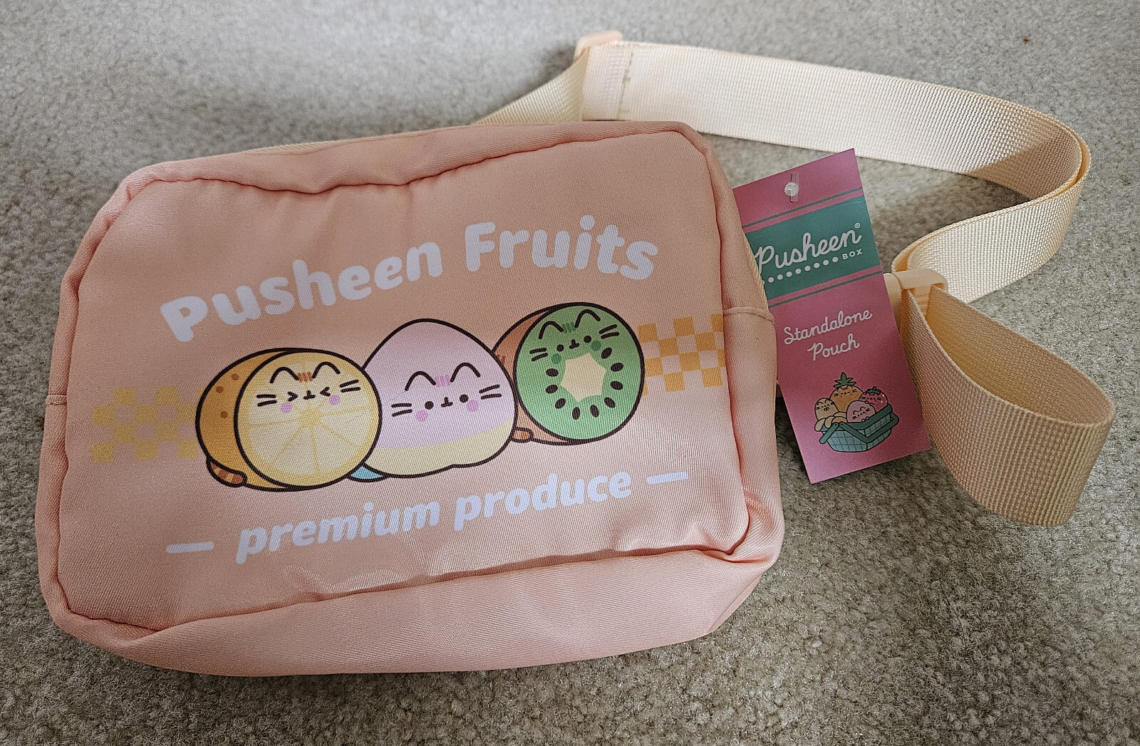 Pusheen Fanny Pack Pouch/Standalone Pouch Subscription Box Summer 2024-image