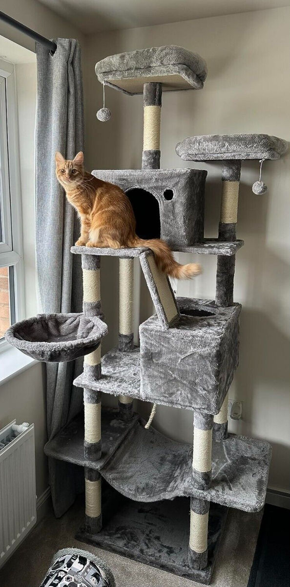 Light Grey Cat Tree Scratching Post Climbing Tower Hammock