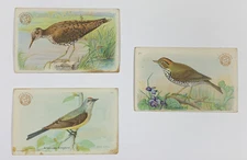 Arm Hammer Birds CHURCH CO NY Trade Card 1st Series #13 3rd Series #16 & 21 Used