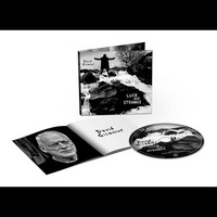 Luck And Strange (Cd-Album) David Gilmour