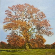 Original Oil Painting on canvas. Handmade. 30 x 30 cm. Autumn's tree.
