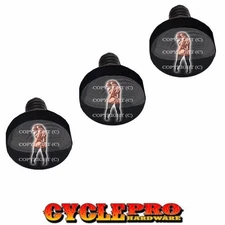 Black Billet Fairing Windshield Hardware Kit 96-13 Harley Touring - Tattoo Girl