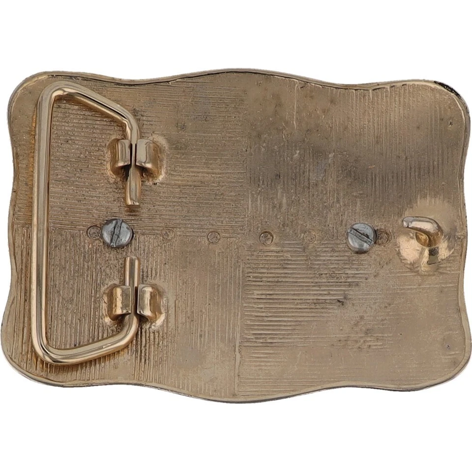 Piedra preciosa 30x40 mm Piedra preciosa Vaquero Western Nuevo de Lote Antiguo Años 80 Nuevo de Lote Antiguo Hebilla de Cinturón Foto 2 de 4