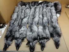 Tanned 2XL #1 Silver Fox Hide/Silver black Color/USA Furs/Taxidermy/Crafts
