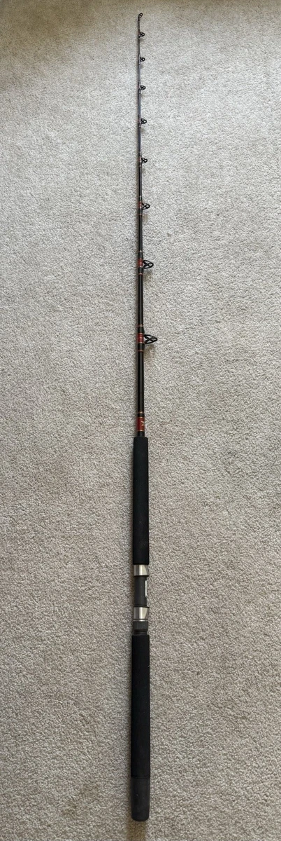 Fenwick All Saltwater Fishing Rods & Poles for sale | eBay