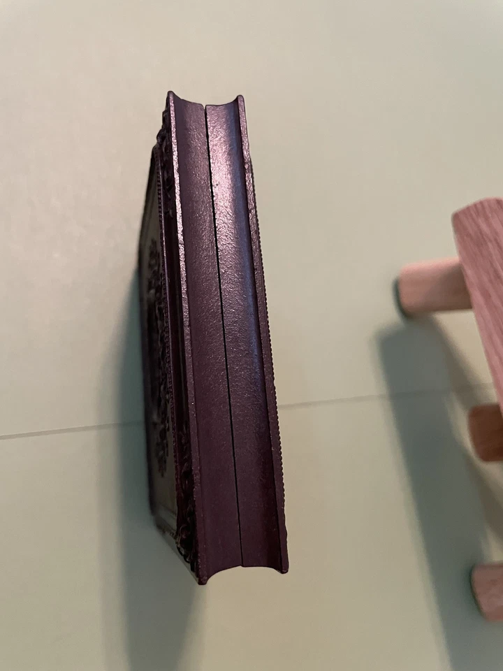 6th Plate Geometric Union Case, Ambrotype Sweet, Alert Baby - Image 3 of 4