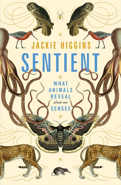 Sentient | What Animals Reveal About Our Senses | Jackie Higgins | Buch | 2021-image