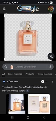 CHANEL Coco Mademoiselle Intense Eau de Parfum Spray for Women 3.4 oz / 100 NEW