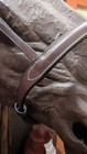 Full Size Corrective Caveson • Metal Wrap Noseband • England Leather – Nice — photo 5
