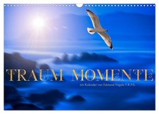 Calendar 2027 US Version Dream moments Wall Calendar 2027 17" 12" landsca