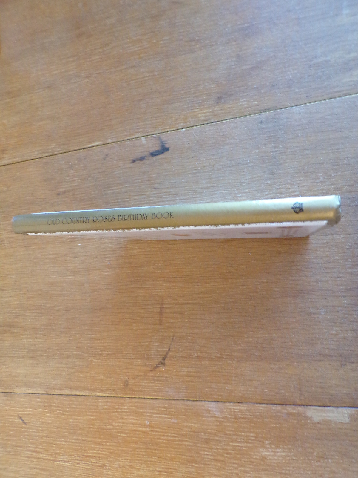 Bild 47 von 47