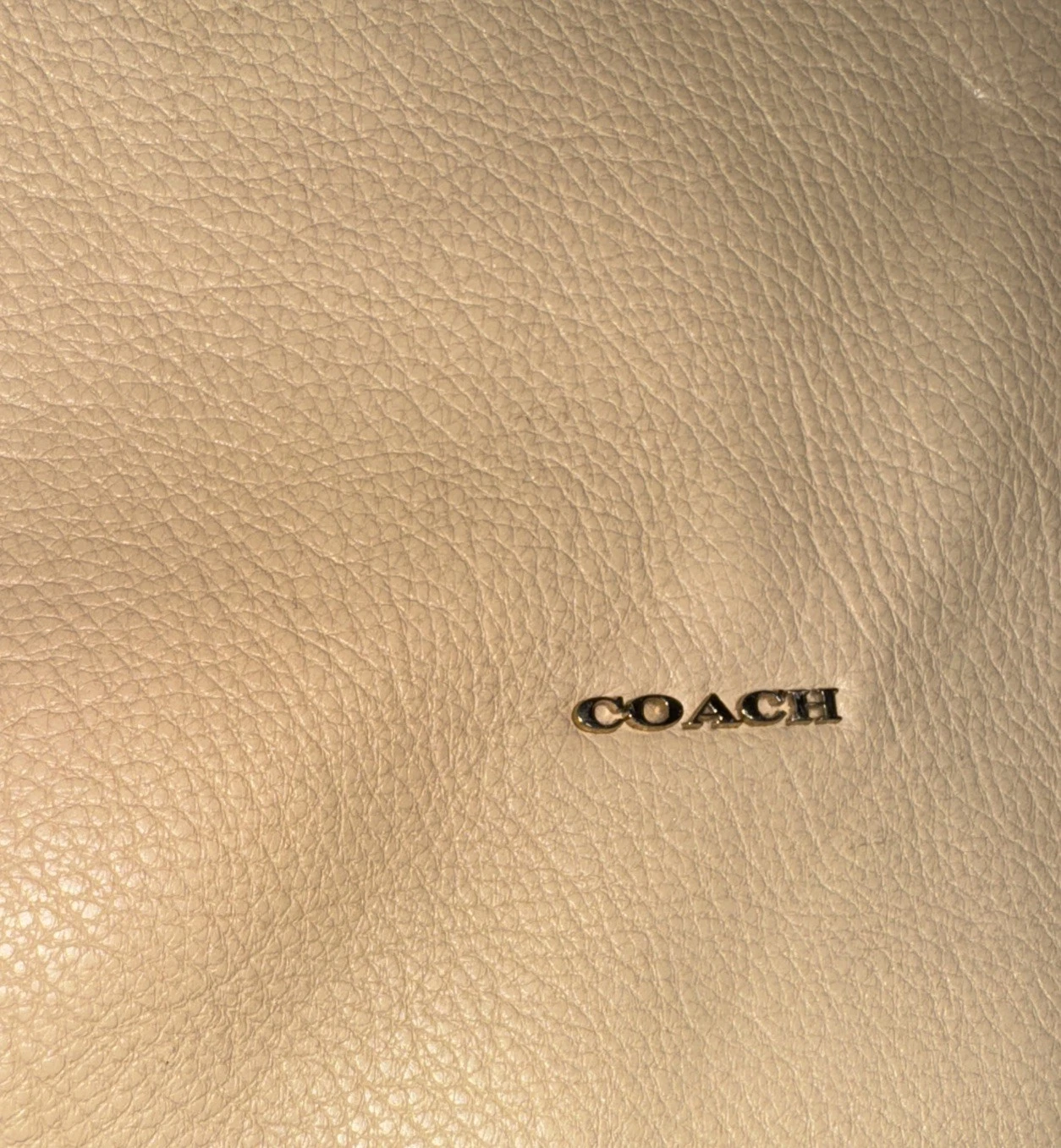 Borsa a tracolla Coach Madison Hobo