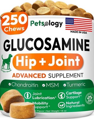 250 USA MADE Dog Hip & Joint Mobility Chews MSM Glucosamine Treats for Dogs 8/28
