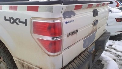 Driver Tail Light Styleside Ebony Border Fits 10-14 FORD F150 PICKUP 28081551