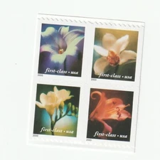 Scott 3454 - 3457 US  4 Flowers  Block of 4 Booklet Free Ship M/NH O/G