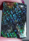 Ammolite  Ammonite   Coated Stone LARGE 43x28.5x6mm 6671