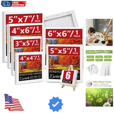 6Packs Mini Stretched Canvases for Painting with 3x5”, 4x4”, 4x6”, 5x5”, 5x7”...