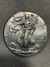 2011 American Silver Eagle