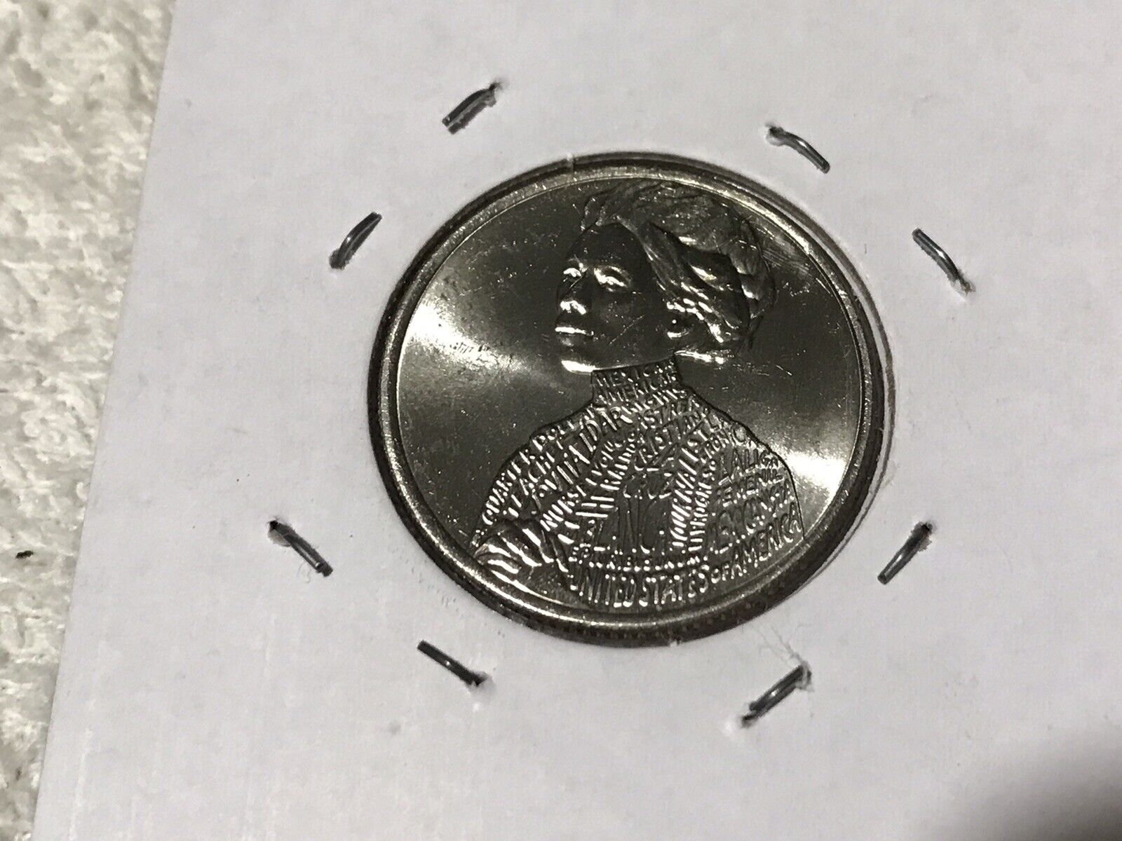 Picture 13 of 13