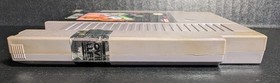Ghost Lion (Nintendo Entertainment System, 1992) NES Tested & Working