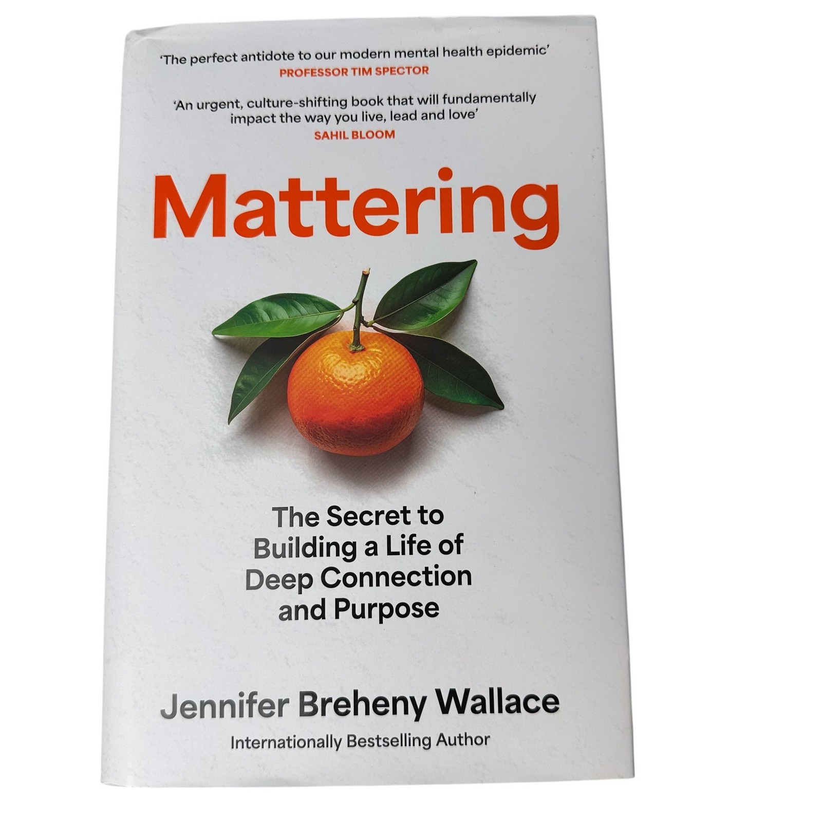 Mattering by Jennifer Breheny Wallace (Hardback Book)