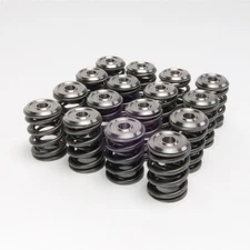 Skunk2 344-05-1300 High Quality Alpha Valve Spring and Titanium Retainer Kit