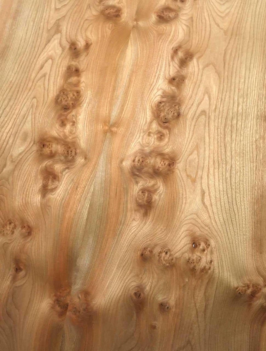 Madera De Raíz Rüster Con Chapas 305x35-44cm 2 Hojas