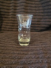 Princess Tumbler Etched Glass Floral Pattern 10 OZ Capacity