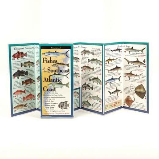 Australian Seafood Handbook,(英語) ハードカバー Australian Seafood Handbook,(英語) ハードカバー Amazon.co.jp