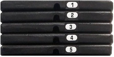 Body Solid 50 Pound Weight Stack Add On Kit 5 Cast Iron