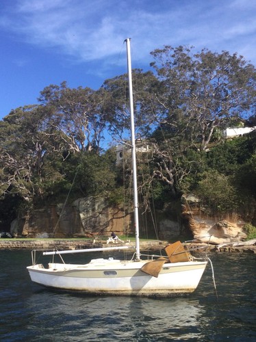 Hood 20 freesailboat