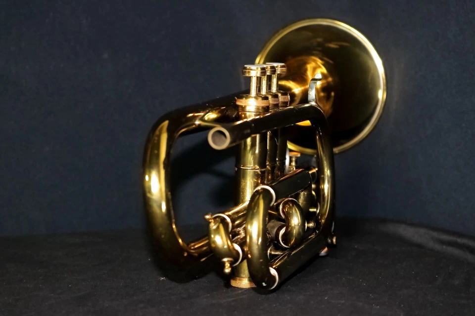 Corneta Medallista Reynolds - Usada, Muy Poco Desgaste, Estuche y Boquilla Incluidos Foto 3 de 4