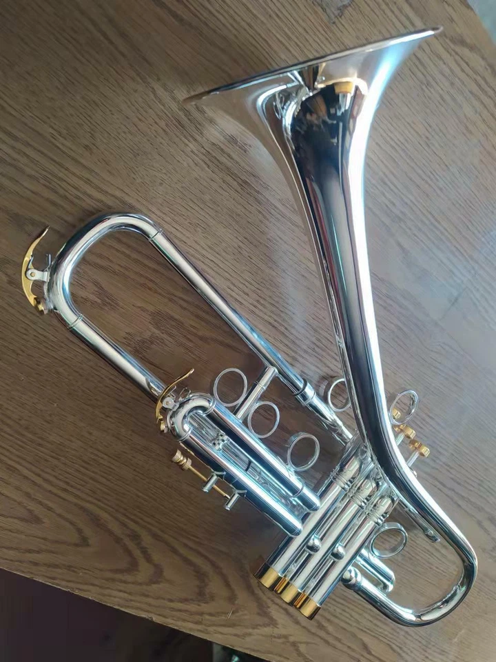 Trompete Bb FireBird com trombone Perfect4 Jazz EZ prata transposta por BerkeleyWind - Imagem 2 de 4