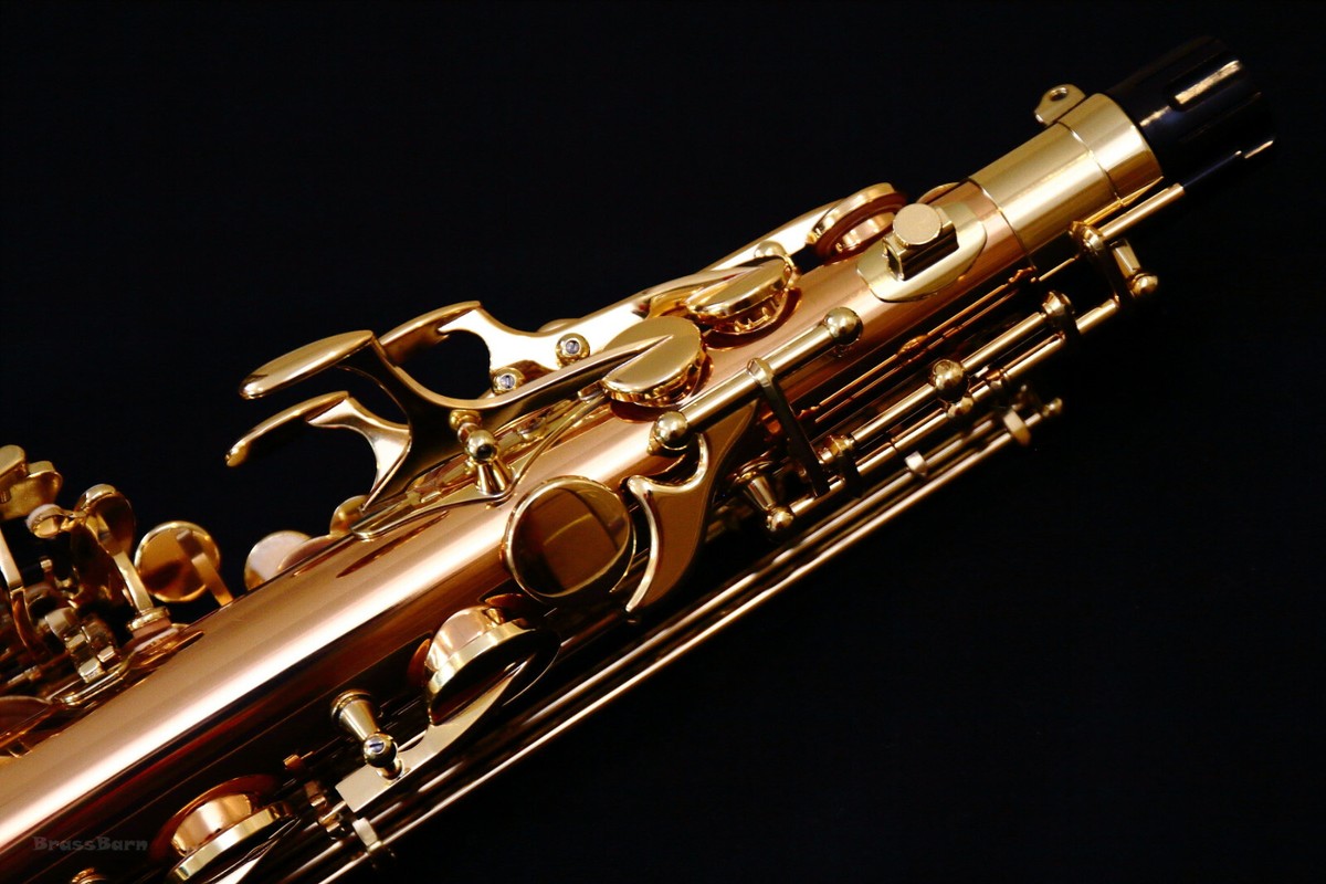 Buy 🔥NEW 2026 Yanagisawa A-WO20 (AWO20) Elite Bronze Alto Saxophone