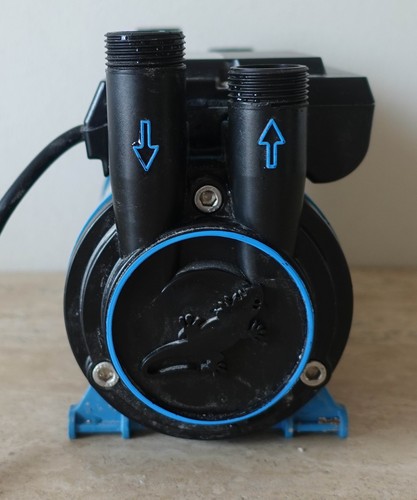 Salamander CT80B Shower Pump. 2.6 Bar. Positive Head, Twin. Faulty ...