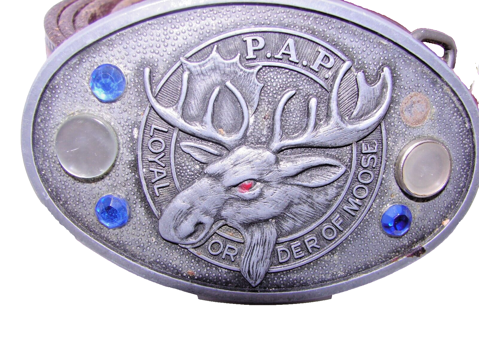 LEATHER BELT with LOYAL ORDER OF MOOSE buckle-image