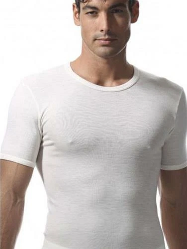 RAGNO maglia intima uomo 100 pura lana merino manica corta superwool 64127