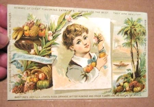 Dingley & Stevens Family Groceries Meats Auburn ME Victorian Trade Card