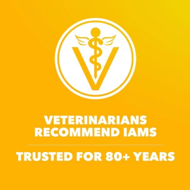 IAMS Proactive Health Chicken Flavor Large Breed Puppy Dry Dog Food