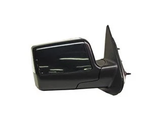 Dorman Door Mirror P N 955 841