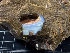 [+] Rough Koroit Opal - Parcel CSR - 3,223 grams - (Rough Boulder Opal)