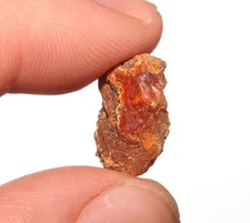 Amber Tree Sap Pitch Great Dinosaur Age Fossil Hell Creek Formation Cretaceous