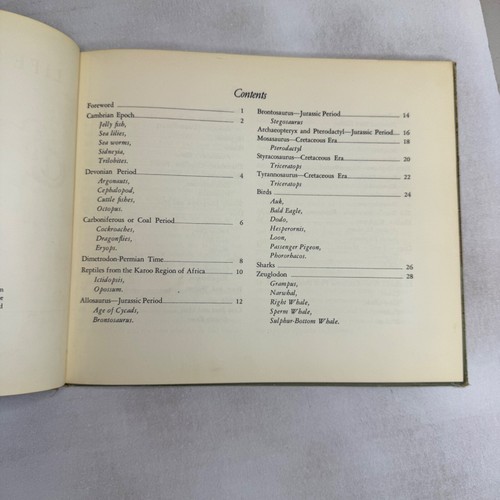 Dinosaurier Buch Leben im Wandel der Zeit Charles R. Knight 1946 HC EX Bibliothek - Bild 15 von 24