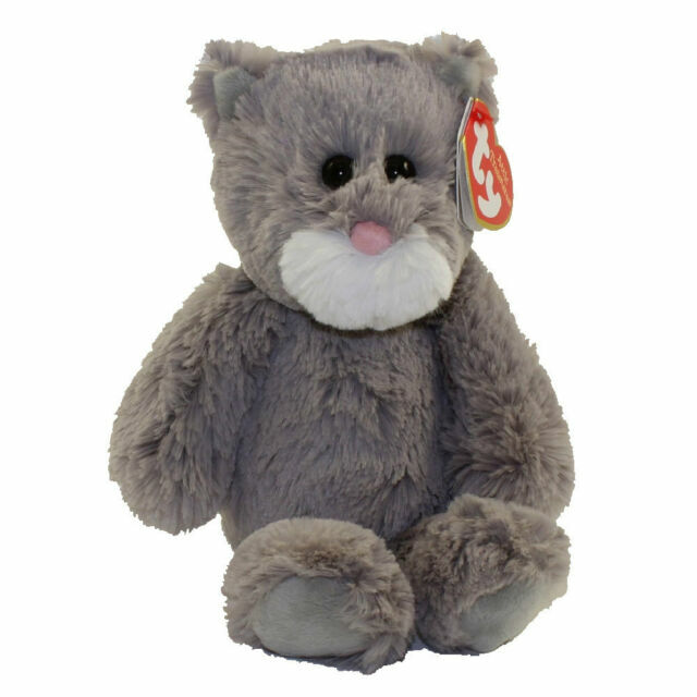 ty cat teddy
