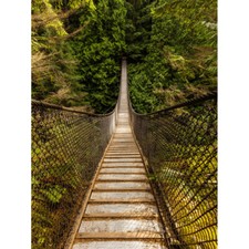Delso Lynn Canyon Suspension Bridge Canada Photo Canvas Wall Art Print Poster
