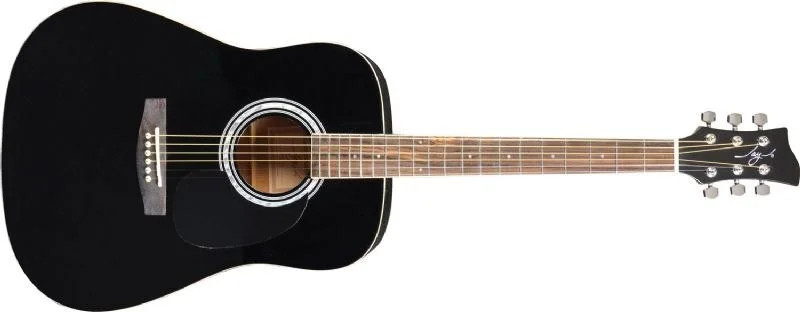 ​Jay Turser USA 5弦ベース【メイプル1ピースネック】希少　MOD Jay Turser JJ45-PAK-BK-A Jay Jr Series 3/4 Size Dreadnought