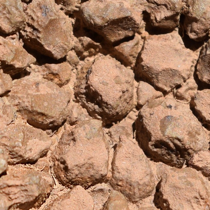 Picture 9 of 11